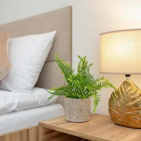 Przytulne W Rzeszowie Z Widokiem Na By Renters Apartment